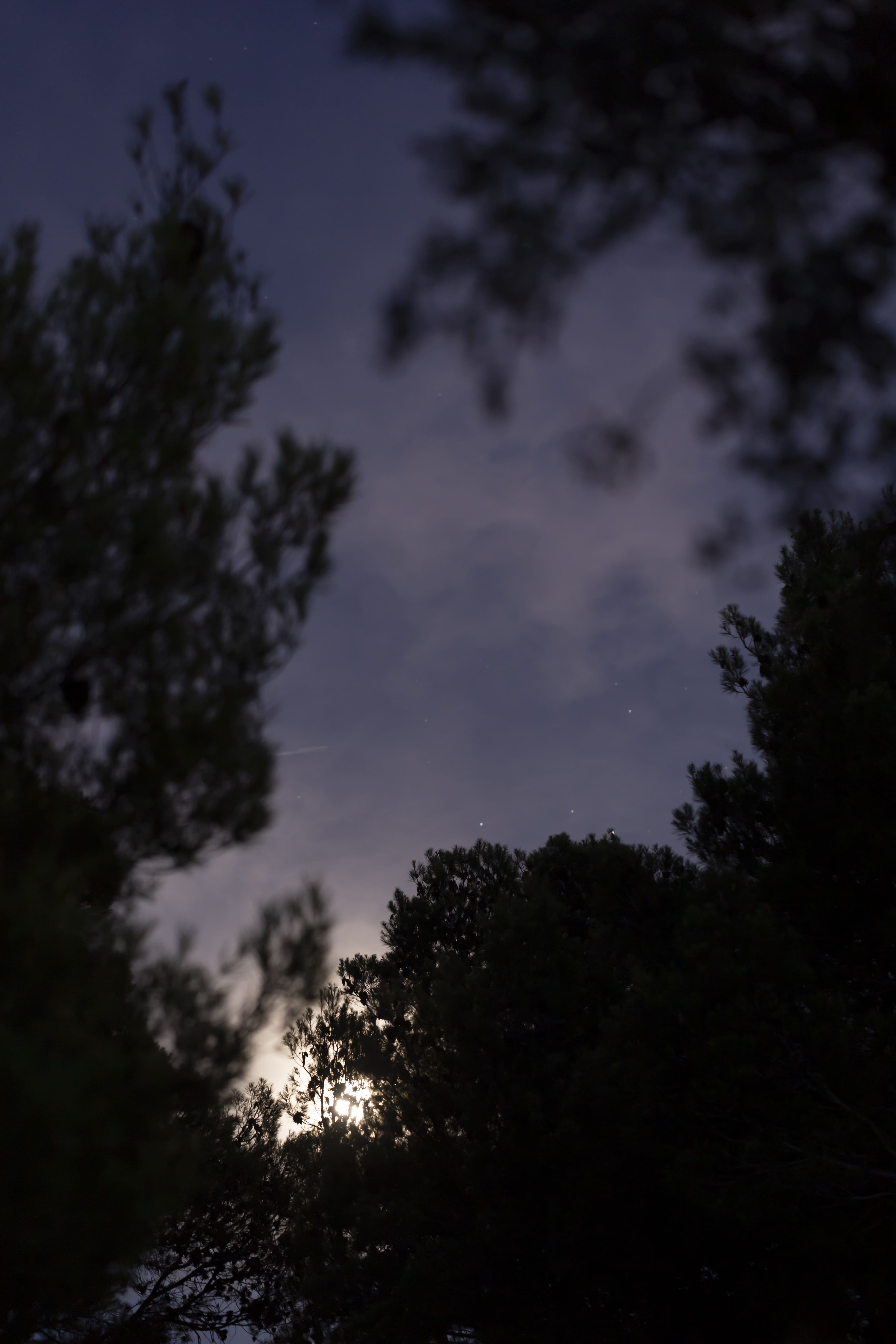 Arrábida: Slow Night